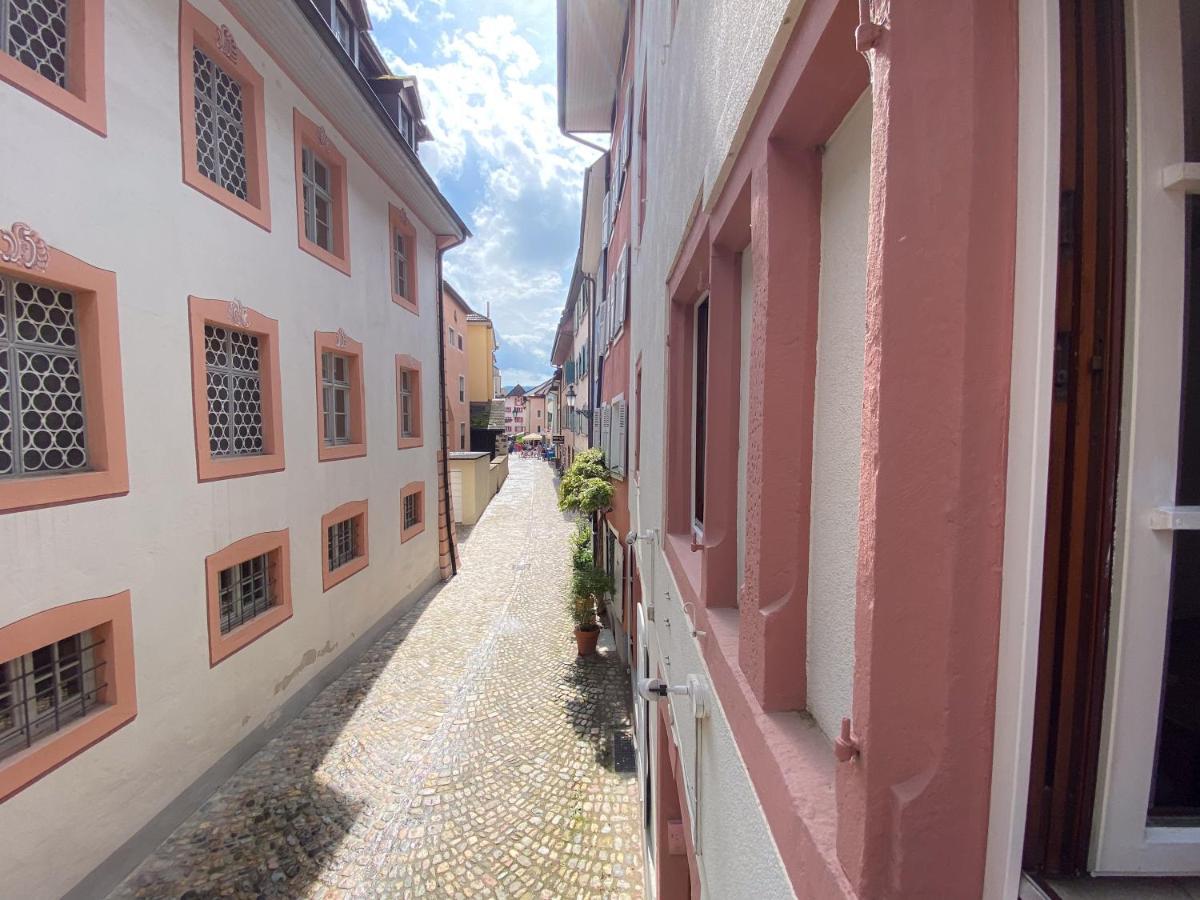 Neues Design-Apartment, Altstadt, Business&Ferien, Kueche, Netflix Bad Säckingen Eksteriør billede